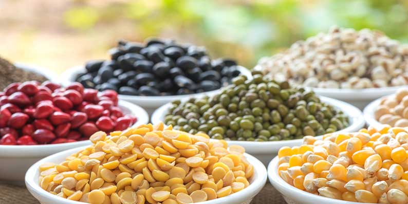 all-nuts_beneficios_pulse_para_saude.