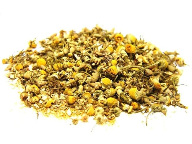 camomila-em-flores