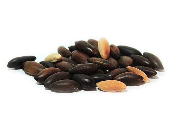 castanha-da-india-com-casca
