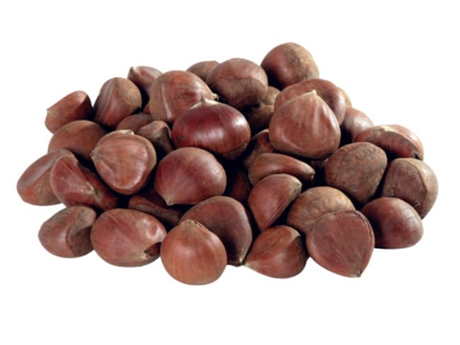 castanha-portuguesa