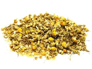 camomila-em-flores