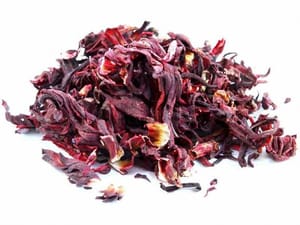 flor-de-hibisco