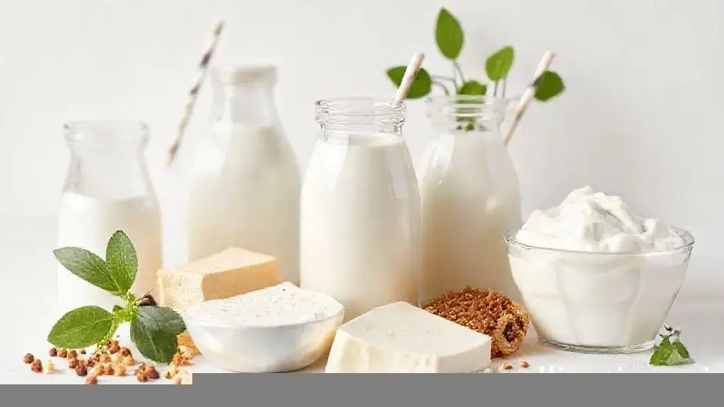 Alimentos Sem Lactose: Guia Completo para uma Alimentação Saudável e Livre de Lactose 1 Alimentos Sem Lactose