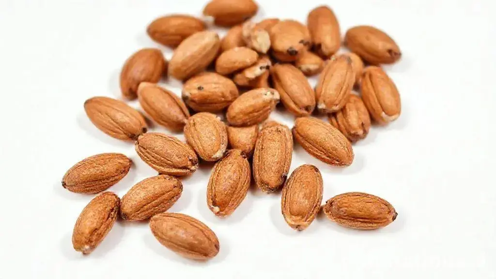 Amêndoa Defumada Light Sem Casca: sabor e nutrição em um só produto 1 Amendoa Defumada Light Sem Casca