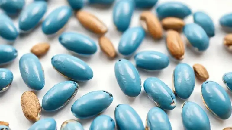 Amendoas Confeitadas Azul