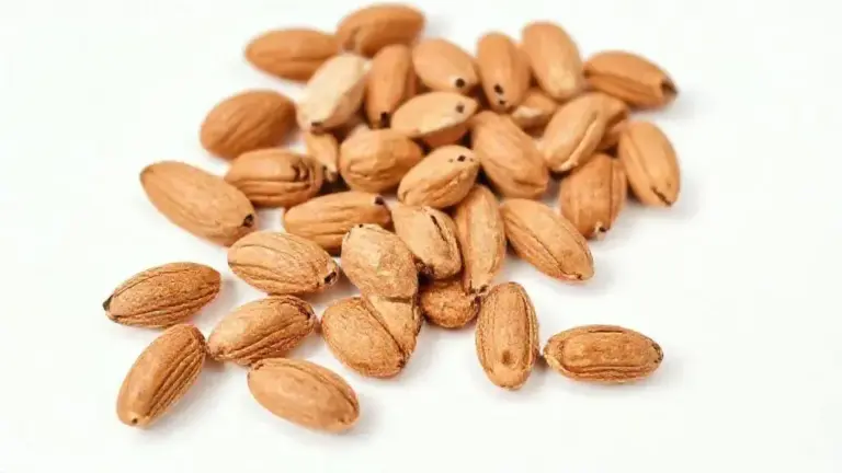 Amêndoas Cruas Naturais Sem Casca: Benefícios, Nutrientes e Como Usar 9 Amendoas Cruas Naturais Sem Casca