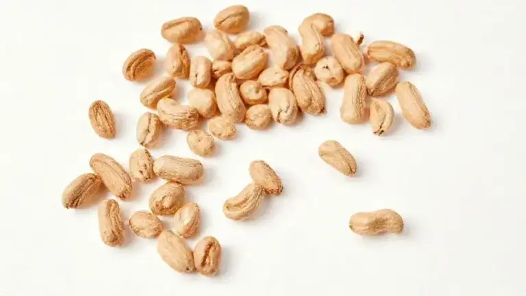 Amendoim: Guia Completo sobre este Nutritivo Ingrediente 2 Amendoim