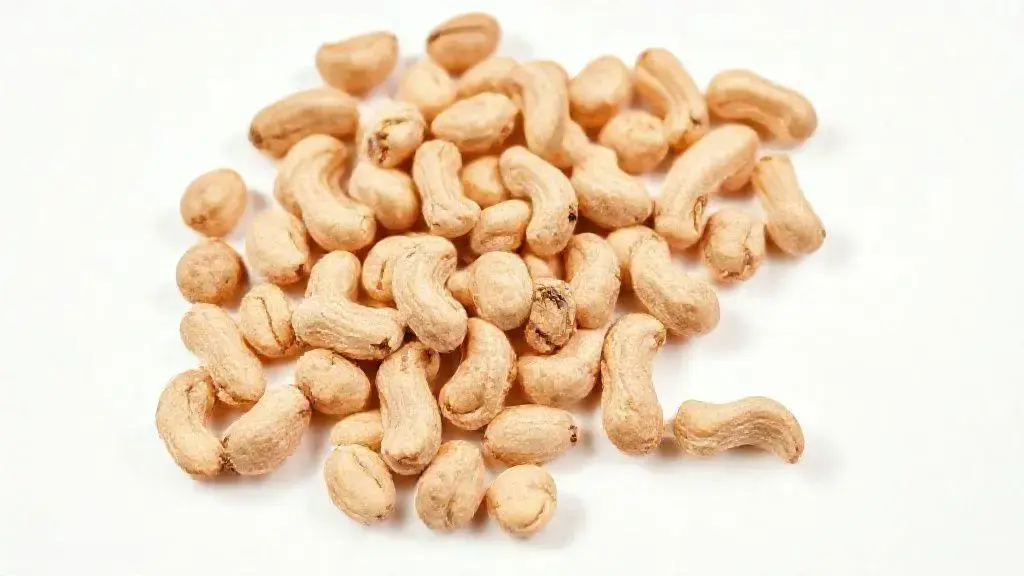 Amendoim Ovinho: Tudo Sobre Esta Oleaginosa Versátil e Saborosa 1 Amendoim Ovinho