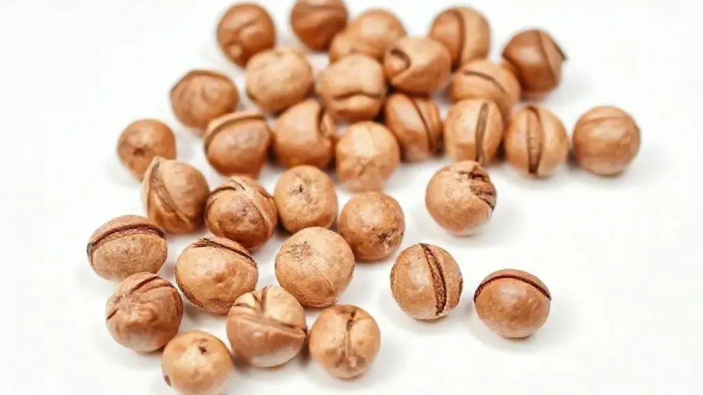 Avelã: Nutrição, Benefícios e Usos no Dia a Dia 1 Avela