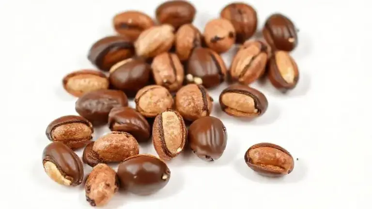 Castanha Do Para Com Chocolate