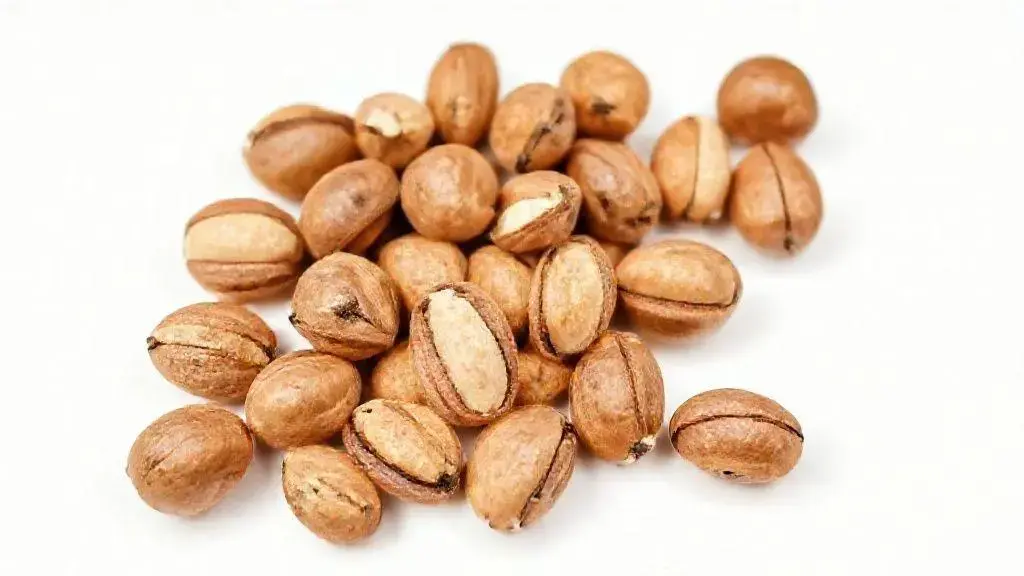 Castanha do Pará Inteira Miúda: Guia Completo para Consumir e Aproveitar 1 Castanha Do Para Inteira Miuda