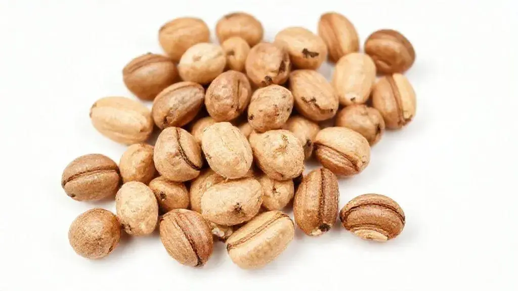 Castanha Do Pará Natural Inteira Média: Nutrição e Qualidade em Cada Semente 1 Castanha Do Para Natural Inteira Media