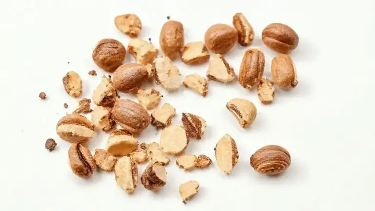 Castanha Do Para Quebrada