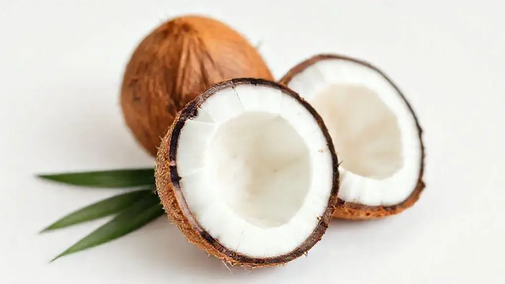 Coco: benefícios, usos, nutrientes e dicas para incluir na sua alimentação 1 Coco