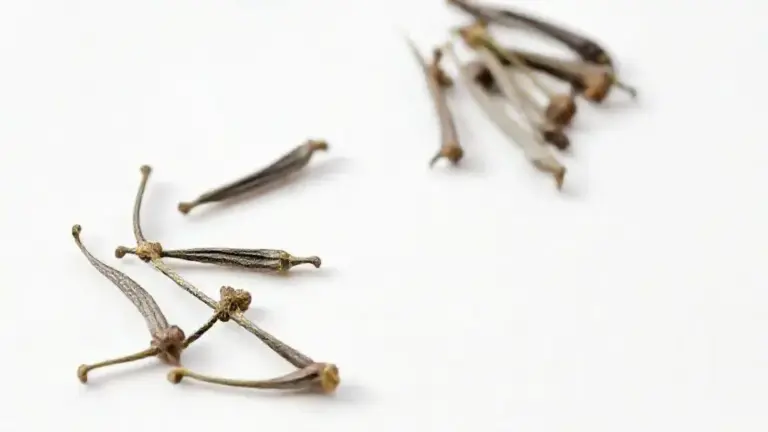 Cravo Da India Em Grao