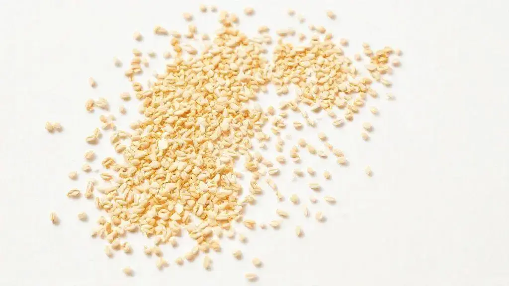 Gergelim: Tudo que você precisa saber sobre essa semente nutritiva 1 Gergelim