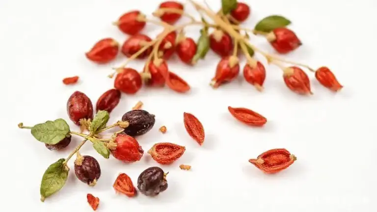 Goji Berry