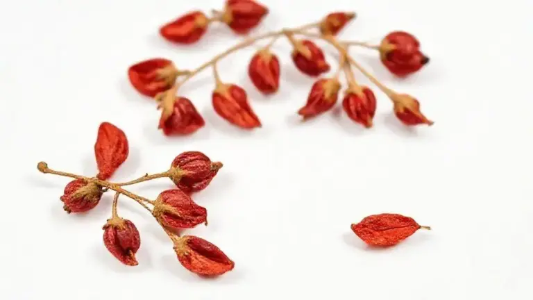Goji Berry Desidratada