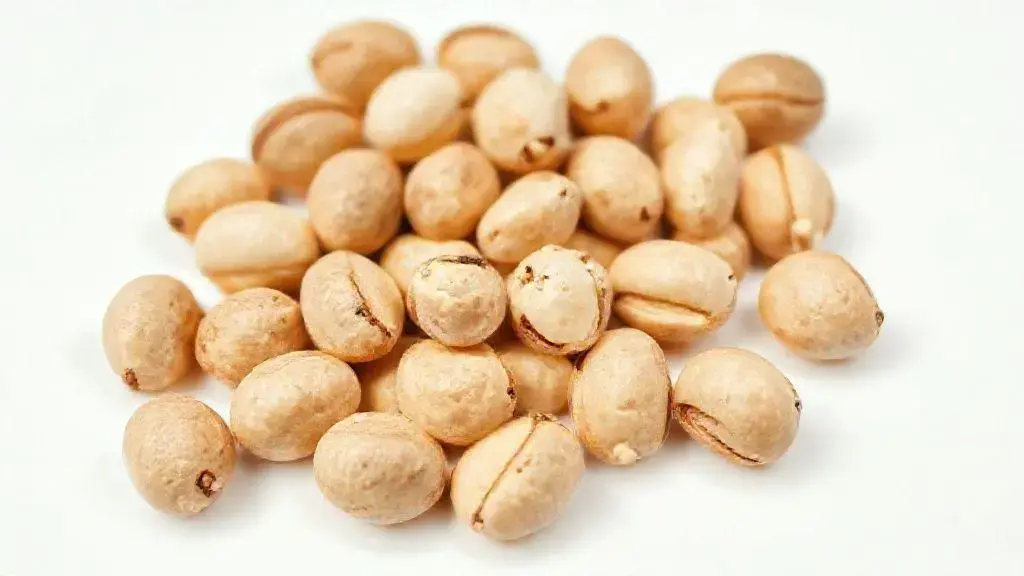 Macadamia: Benefícios, Nutrientes e Como Usar no Dia a Dia 1 Macadamia