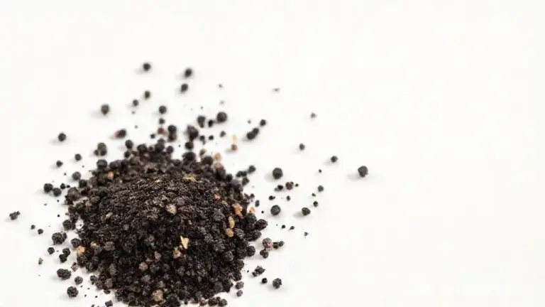 Pimenta Do Reino Em Po