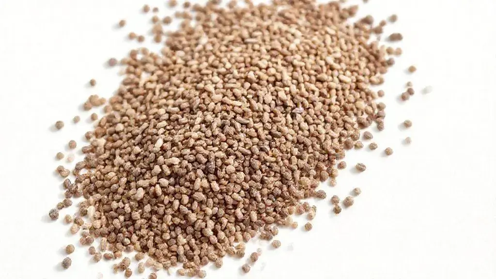 Semente de Chia: Guia Completo para Aproveitar Todos os Benefícios 1 Semente De Chia