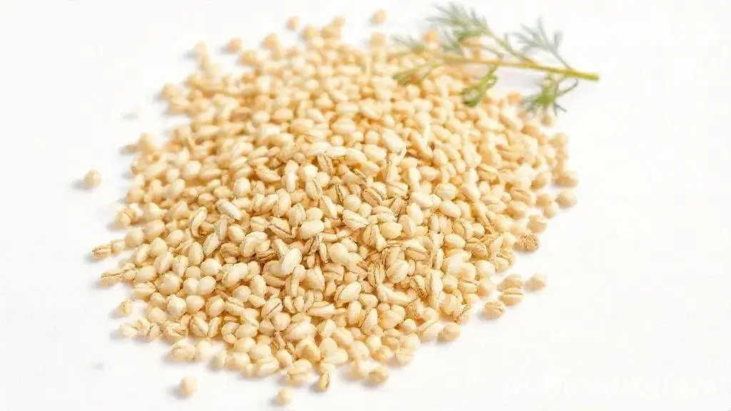 Semente de Erva Doce: Guia Completo para Usar e Aproveitar seus Benefícios 1 Semente De Erva Doce