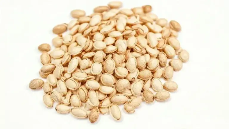 Semente De Girassol Crua Sem Casca