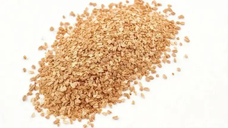 Sementes de Cardamomo: Tudo que Você Precisa Saber sobre essa Especiaria Aromática 36 Semente De Linhaca