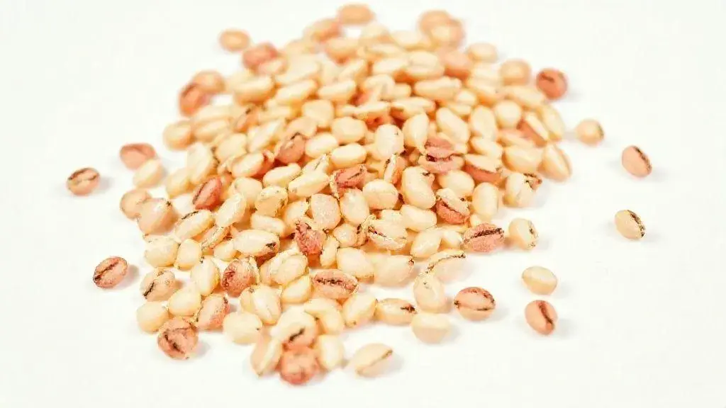 Semente de Melancia: Nutrientes, Benefícios e Como Usar no Seu Dia a Dia 1 Semente De Melancia