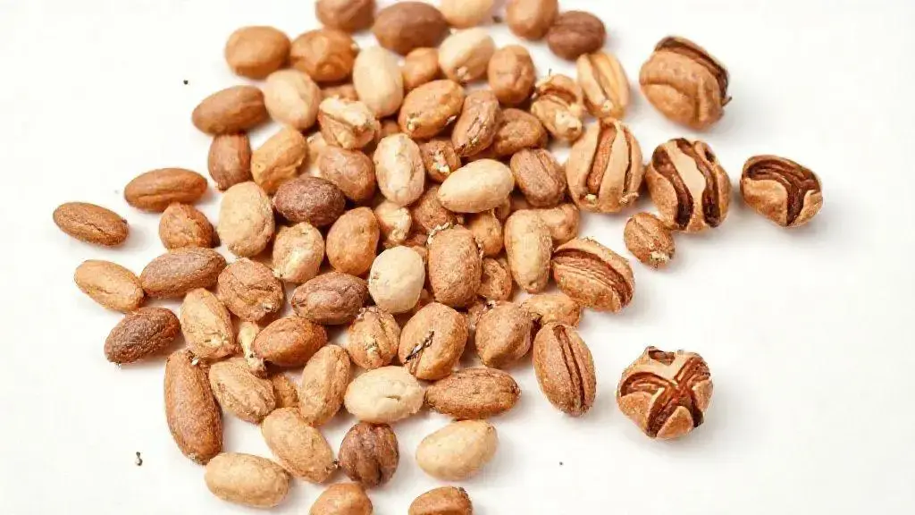 Snacks De Amendoas Avela Para E Nozes Light Sem Sal