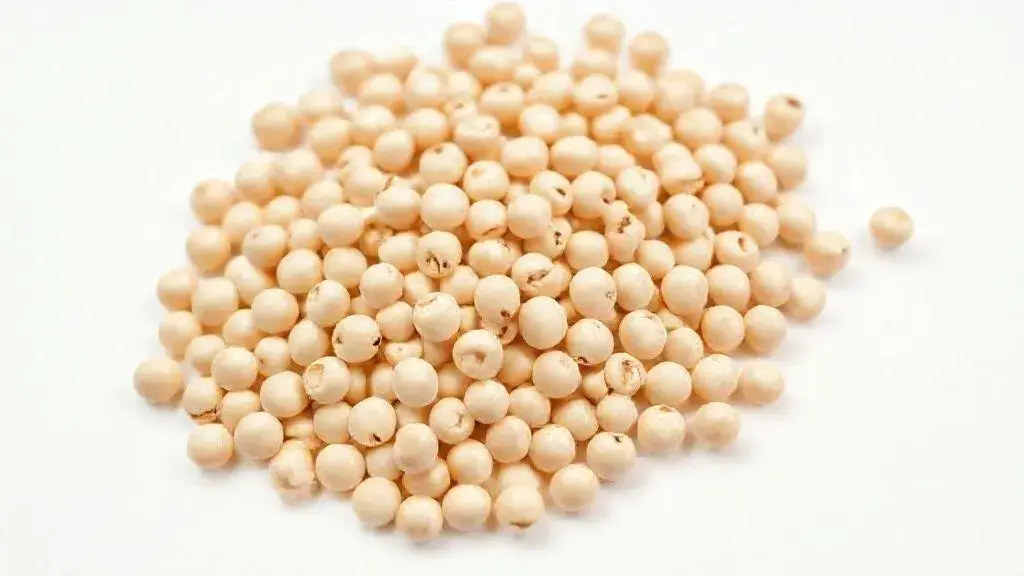 Soja em Grão: Guia Completo para Aproveitar este Ingrediente Versátil e Nutritivo 1 Soja Em Grao