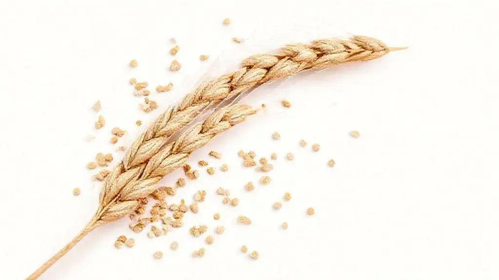 Trigo em Grão: Guia Completo para um Ingrediente Versátil e Nutritivo 1 Trigo Em Grao