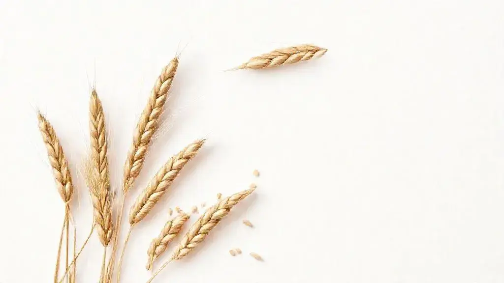 Trigo: Guia Completo sobre o Grão Essencial na Alimentação 1 Trigo