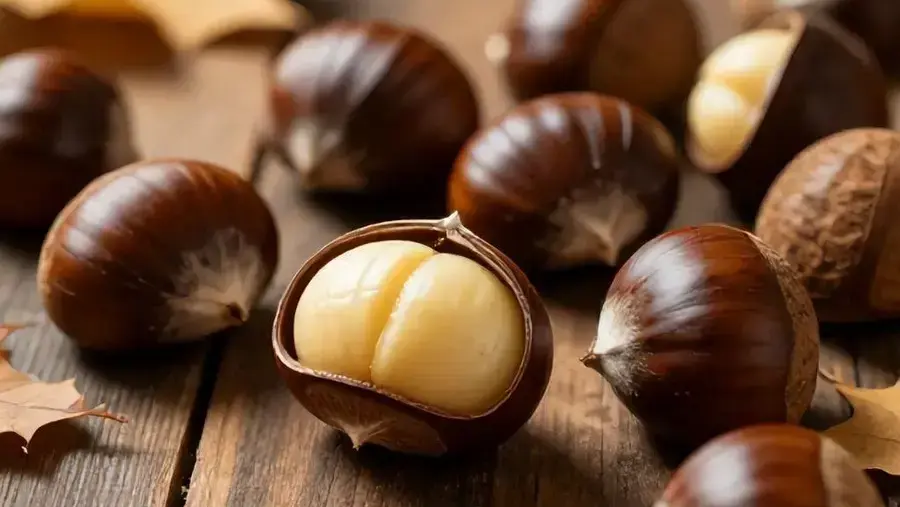 Top 5 benefícios surpreendentes da Castanha Portuguesa: Você não vai acreditar no último! 1 benefícios da castanha portuguesa